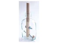 Bottle Puzzle - The Nut