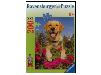 Ravensburger: Gorgeous Golden (200)