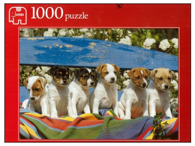 Jumbo: What's That? (1000)