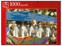 Jumbo: What's That? (1000)