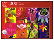 Jumbo: Flower Collage (1000)