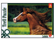 Trefl: Gobelin, Arabian Horse, Niewierz Stud Farm, Poland (500)