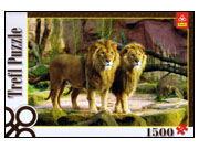 Trefl: Lions (1500)