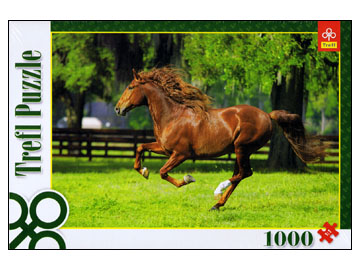 Trefl: In the Gallop (1000)