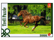 Trefl: In the Gallop (1000)