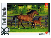 Trefl: Foal's First Steps (500)