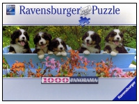 Ravensburger: Bernese mountain dogs (1000)