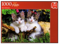 Jumbo: Two kittens (1000)