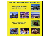 Klicka f�r st�rre bild