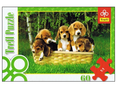 Trefl: Beagle Puppies (60)