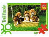 Trefl: Beagle Puppies (60)