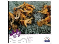 Peliko: Naturen - H�sten (1000)