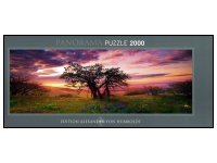 Heye: Panorama - Humboldt, Oak Tree (2000)