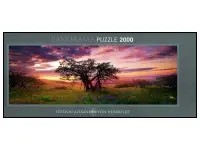 Heye: Panorama - Humboldt, Oak Tree (2000)