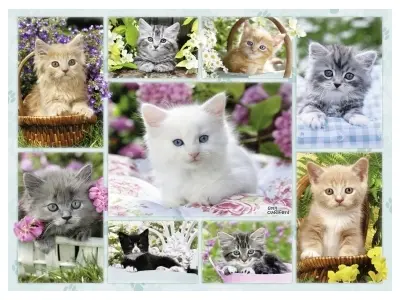 Klicka för större bild