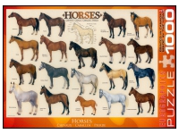 EuroGraphics: Horses (1000)