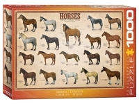 EuroGraphics: Horses (1000)