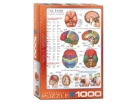 EuroGraphics: The Brain (1000)