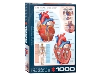 EuroGraphics: The Heart (1000)