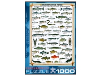 EuroGraphics: Freshwater Fish (1000)