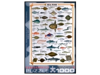 EuroGraphics: Sea Fish (1000)