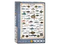 EuroGraphics: Sea Fish (1000)