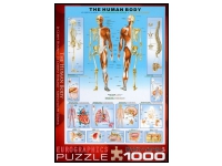 EuroGraphics: The Human Body (1000)