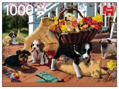 Klicka för större bild