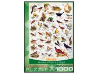 EuroGraphics: Birds (1000)