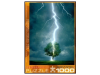 EuroGraphics: Lighting Striking Tree (1000)