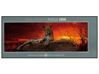 Heye: Panorama - Humboldt, Red Dawn (2000)
