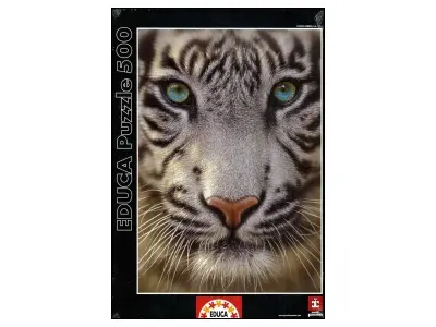 Klicka för större bild