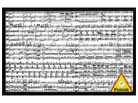 Piatnik: Musical Notes (1000)