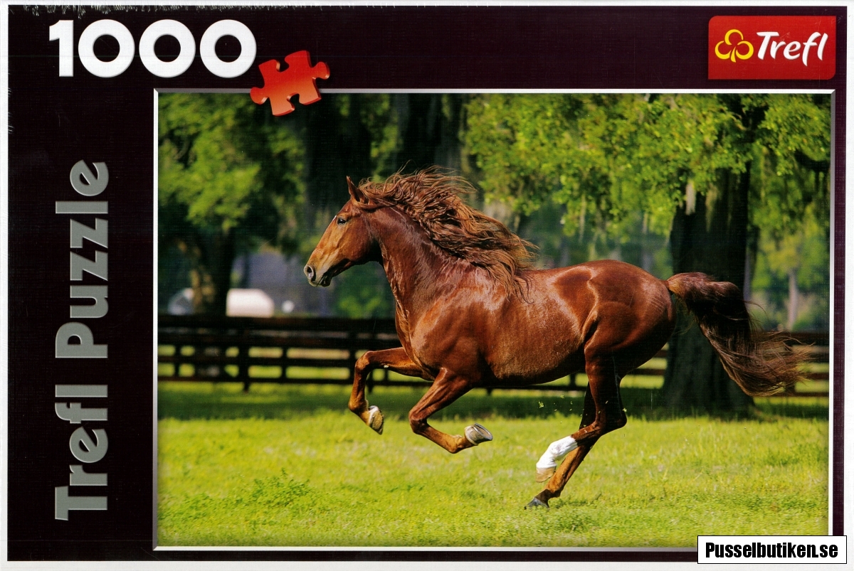 Кигер мустанг гнедой. Скача при нее. Дикий гнедой мустанг. Зеброидный гнедой мустанг. Кигер мустанг гнедой.