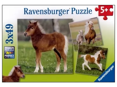 Klicka för större bild