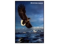 Vennerd: Hunting Eagle (1000)