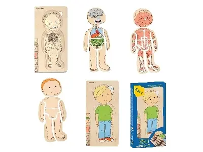 Klicka för större bild