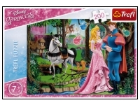 Trefl: Disney Princess - Meeting in the Forest (200)