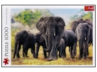 Trefl: African Elephants (1000)