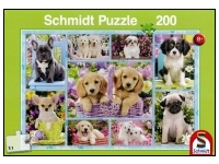 Schmidt: Puppies (200)