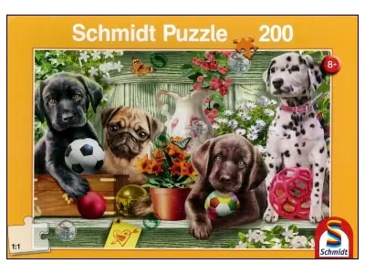 Klicka för större bild