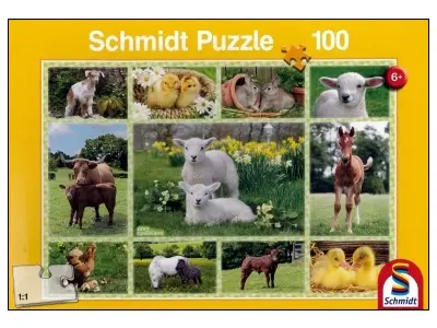 Klicka för större bild