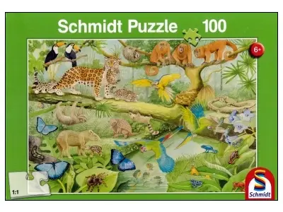 Klicka för större bild