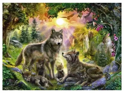 Klicka för större bild