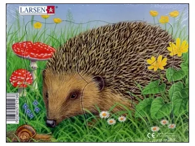 Klicka för större bild