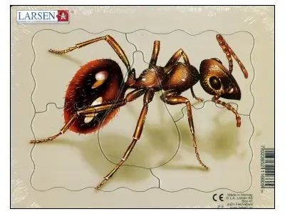 Klicka för större bild