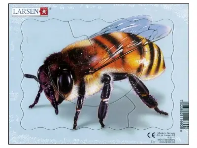 Klicka för större bild