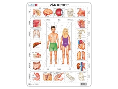Klicka för större bild