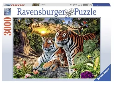 Klicka för större bild