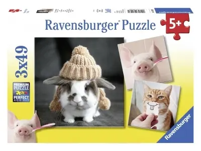 Klicka för större bild